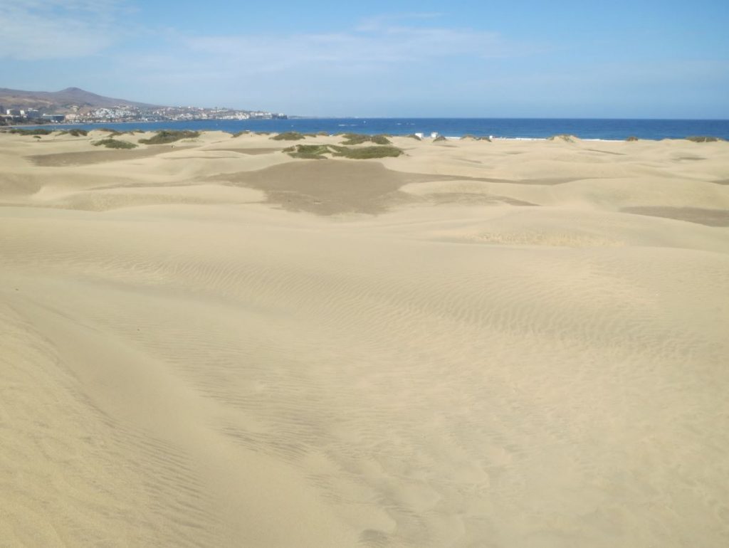 快到海边了，在最后一个沙丘上看见大海了！还有一段距离！